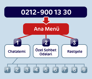 Info Graphic